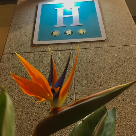 Hotel Stella Maris 3*
